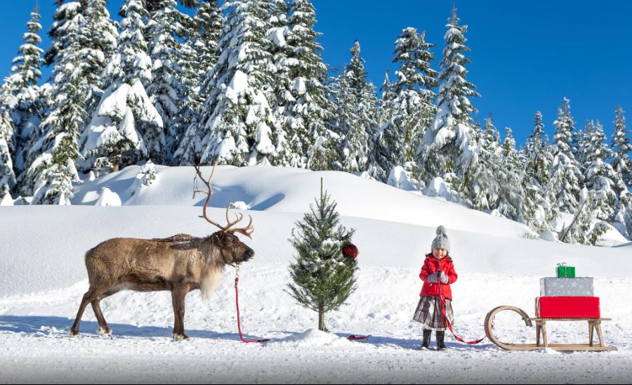 Reindeer and little girl in Vancouver